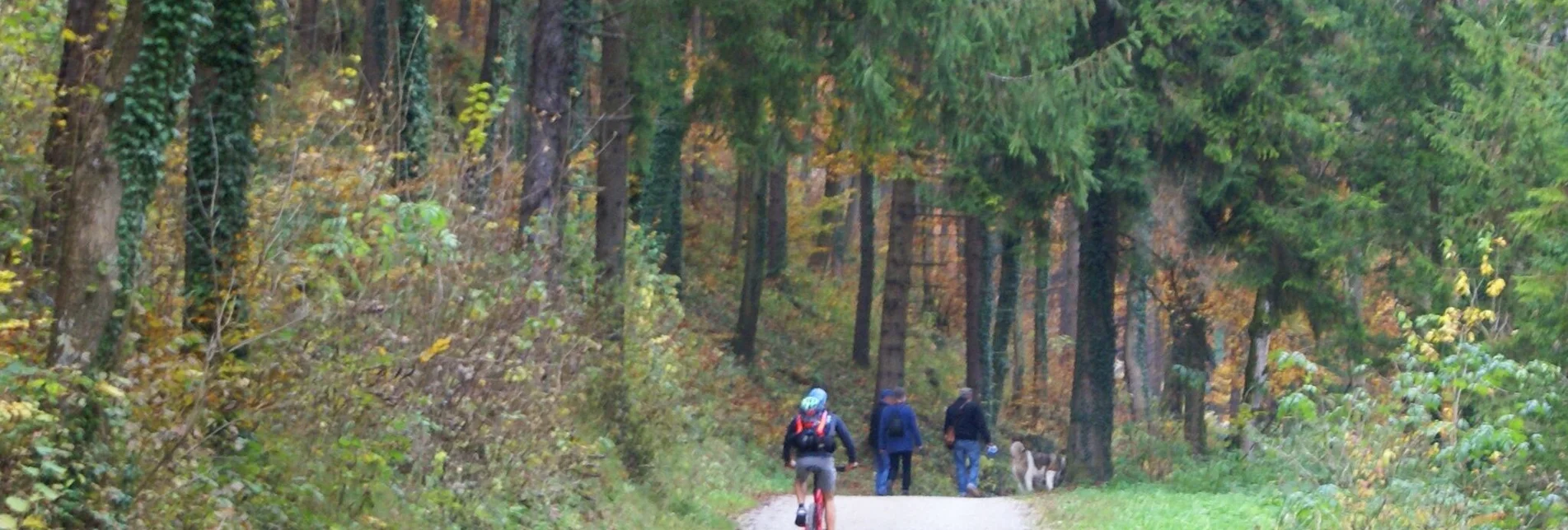 Mountain Biking “Four thousanders” mountain bike circuit - Touren-Impression #1 | © Region Graz