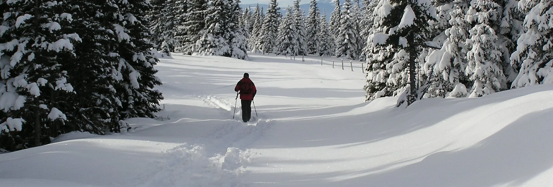 Schneeschuh Schneeschuhtour Hauereck, St. Kathrein am Hauenstein - Touren-Impression #1 | © Oststeiermark Tourismus