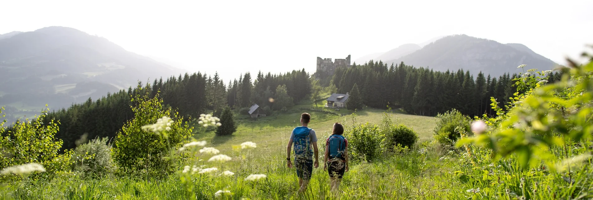 Wanderung Perchau, Kreuzeck, Steinschloss - Touren-Impression #1 | © TVB Murau