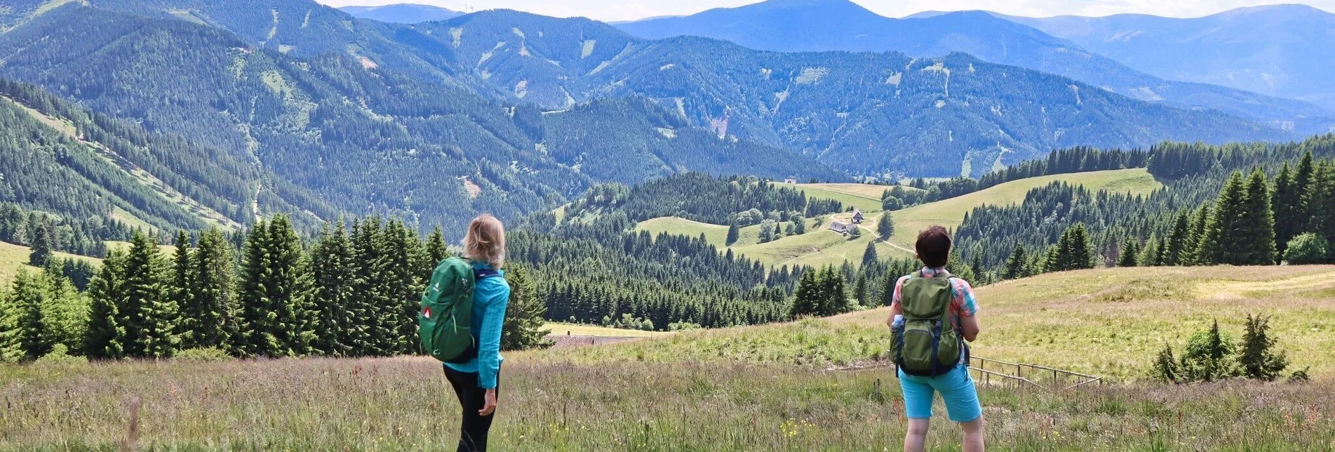 Wanderung Steinplan von der Rachau - Augerlgraben - Touren-Impression #1 | © Weges OG