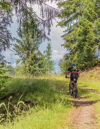 Mountainbike | Manuela Machner | © Erlebnisregion Murtal