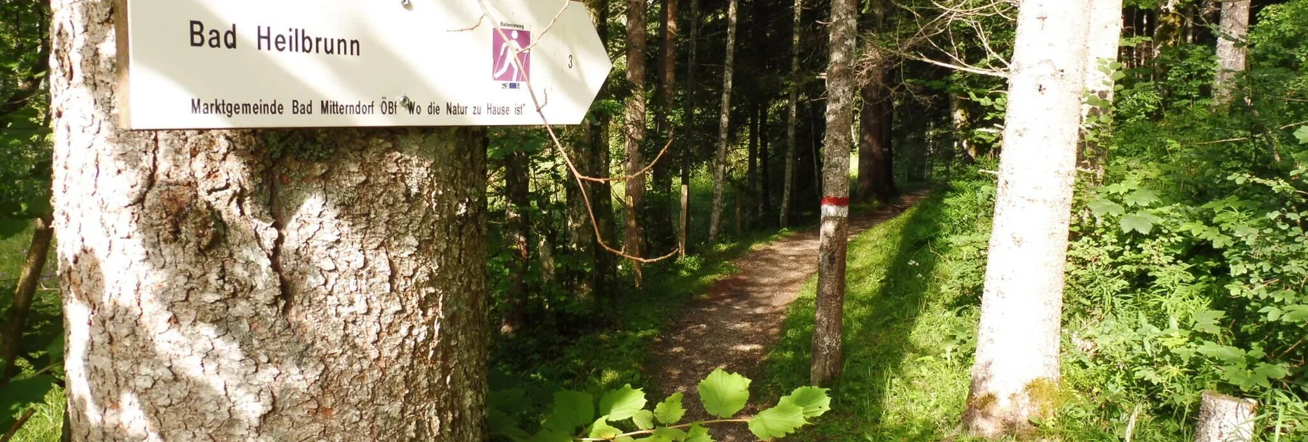 Jogging Bad Mitterndorf-Heilbrunn-Salza - Touren-Impression #1 | © Ausseerland