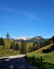 Blick auf das nördlich gelegene Warschenckmassiv vom Parkplatz der Bosruckhütte | © TV Gesäuse | Tourismusverband Gesäuse | © TV Gesäuse