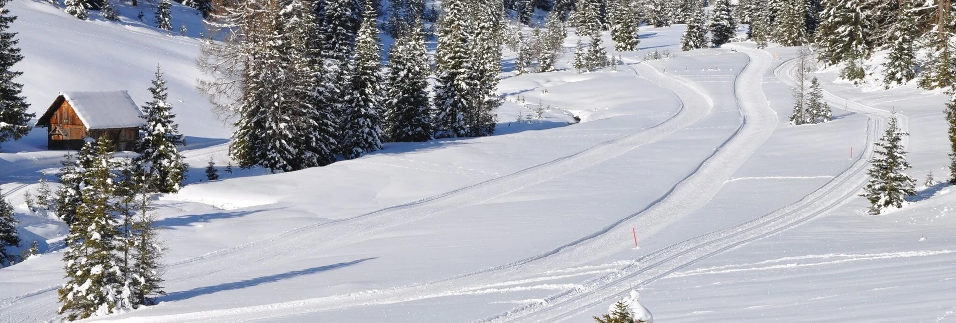 Langlauf klassisch Höhenloipe Prebersee - Touren-Impression #1 | © Tourismusverband Murau