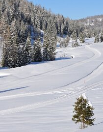 Preberseeloipe | © Tourismusverband Murau | Ewald Siebenhofer | © Tourismusverband Murau