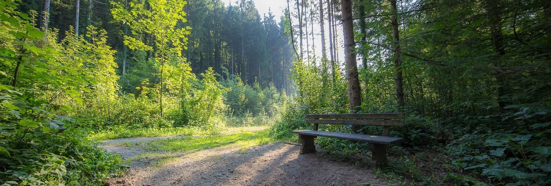 Wanderung Rein ist Vergnügen - Touren-Impression #1 | © Region Graz