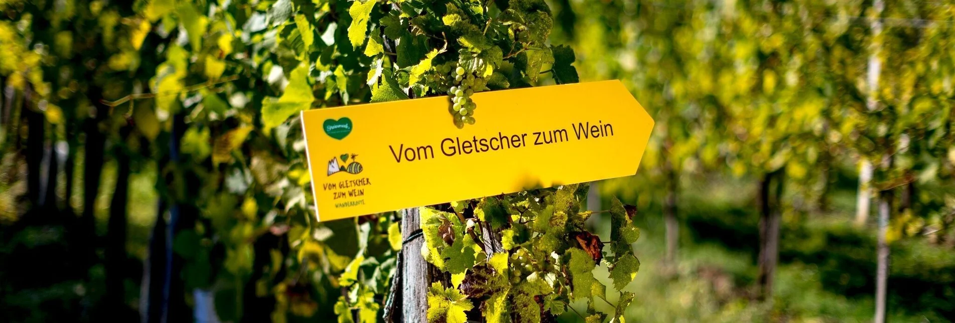 Hiking route Vom Gletscher zum Wein (Teilstück) - Touren-Impression #1 | © Steiermark Tourismus