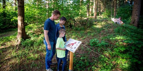 Tierlehrpfad | © Tourismusverband Region Murau