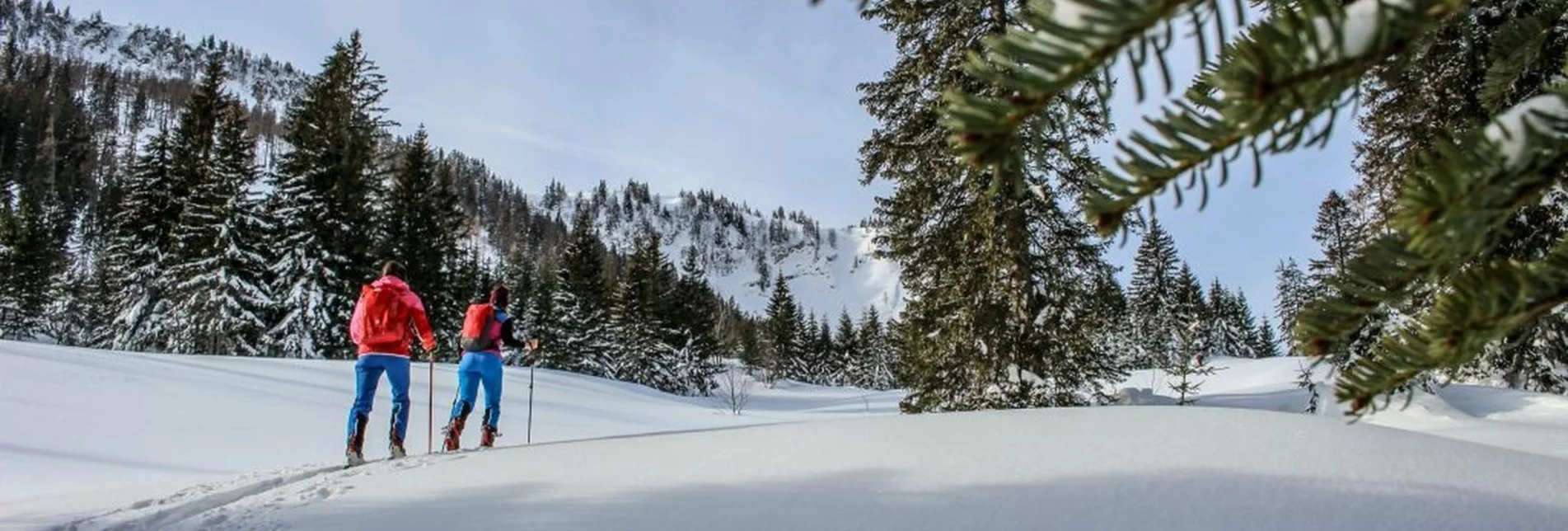 Skitour Skitour von Bad Mitterndorf/Zauchen auf die Tauplitzalm - Touren-Impression #1 | © TVB Ausseerland-Salzkammergut_Berghasen