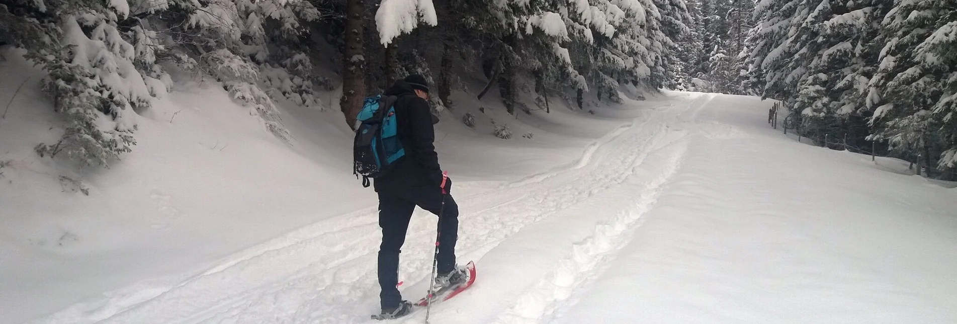 Snowshoe walking Soldatenrunde - Touren-Impression #1 | © Region Graz