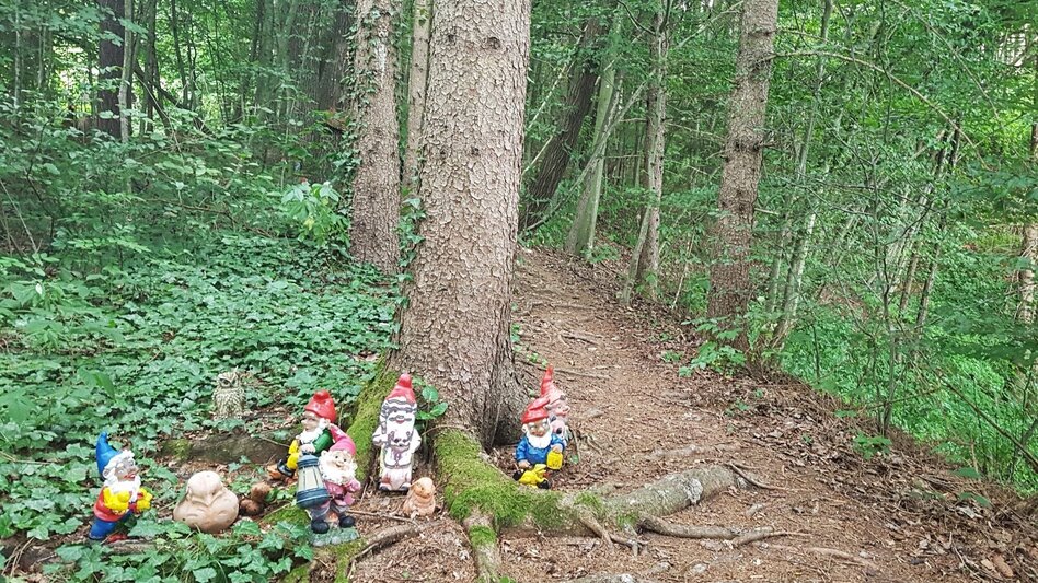 Themed Nature Trail Heaven-earth-way (Himmel-Erden-Weg) - In the footsteps of the vulcanoes - Touren-Impression #2.8 | © spiritour.at
