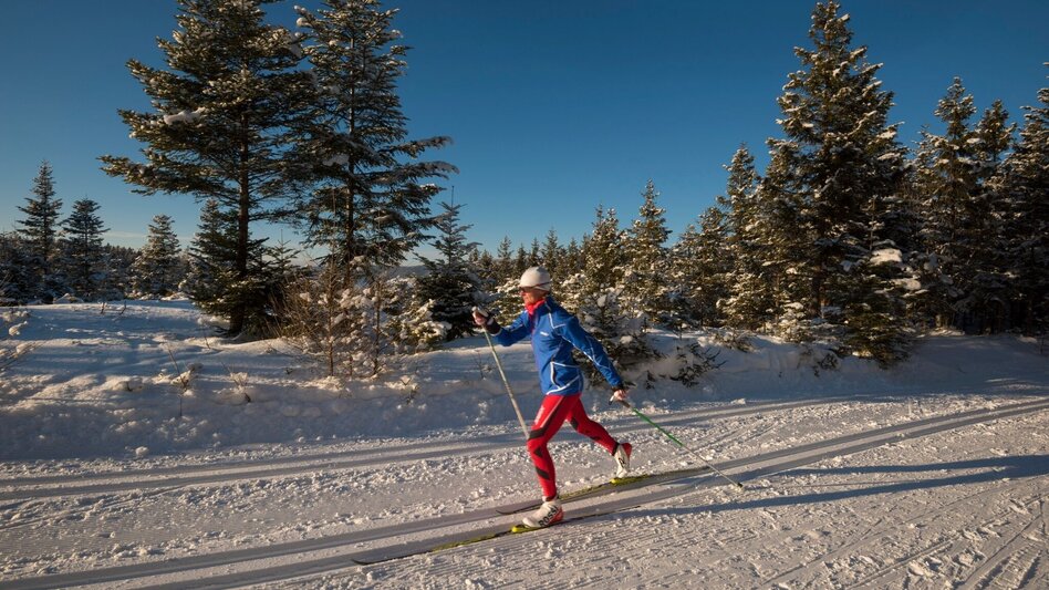 Ski-Nordic Classic Joglland Loipe Sankt Jakob im Walde - Hiking trail, St. Jakob im Walde - Touren-Impression #2.1 | © Gasthof Orthofer