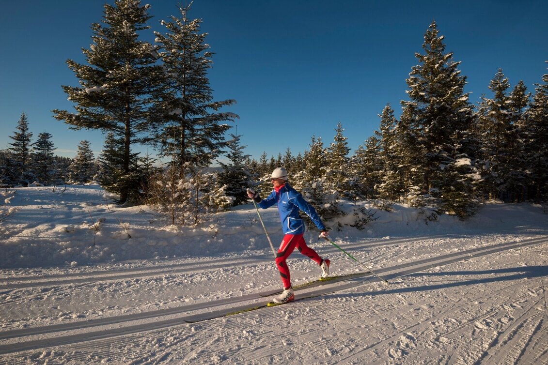 Ski-Nordic Classic Joglland Loipe Sankt Jakob im Walde - Hiking trail, St. Jakob im Walde - Touren-Impression #1 | © Gasthof Orthofer