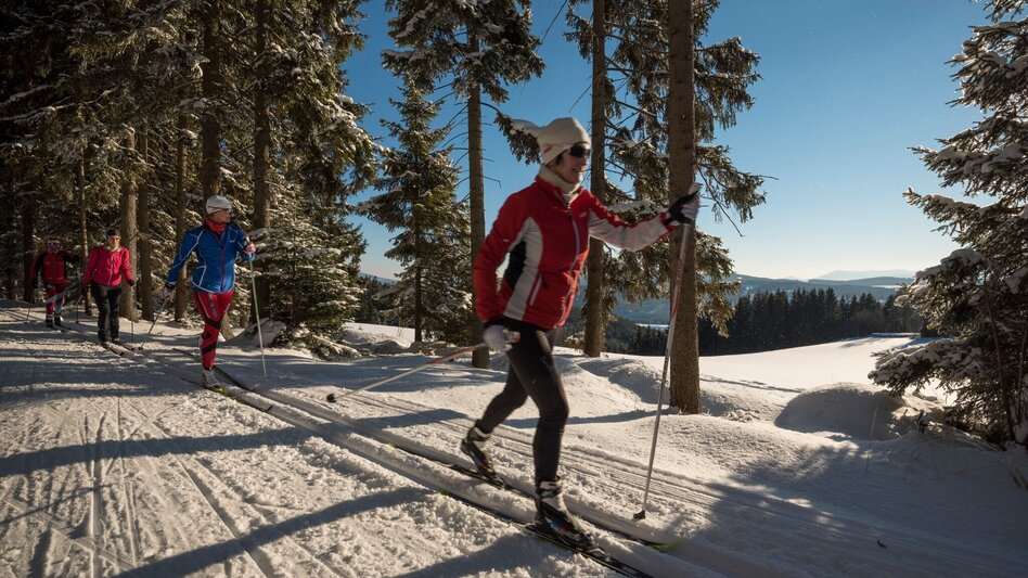 Ski-Nordic Classic Joglland Loipe Sankt Jakob im Walde - Hiking trail, St. Jakob im Walde - Touren-Impression #2.3 | © Gasthof Orthofer