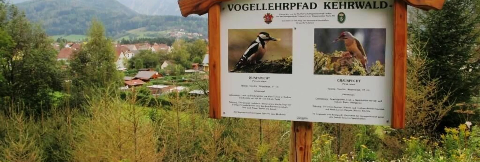 Themen- und Lehrpfad Vogellehrpfad Kehrwald - Touren-Impression #1 | © TV Erzberg Leoben