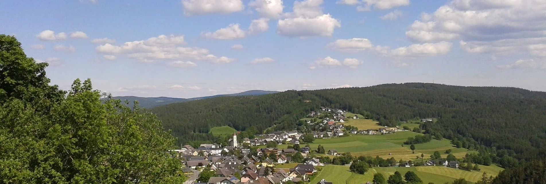 Wanderung Drachensitz und Ägydiuskapelle, Fischbach - Touren-Impression #1 | © Tourismus Fischbach