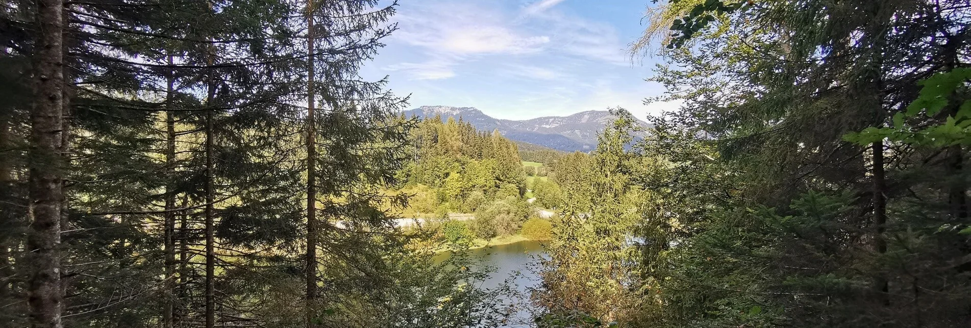 Wanderung Der Waldsteig beim Salza-Stausee - Touren-Impression #1 | © Ausseerland