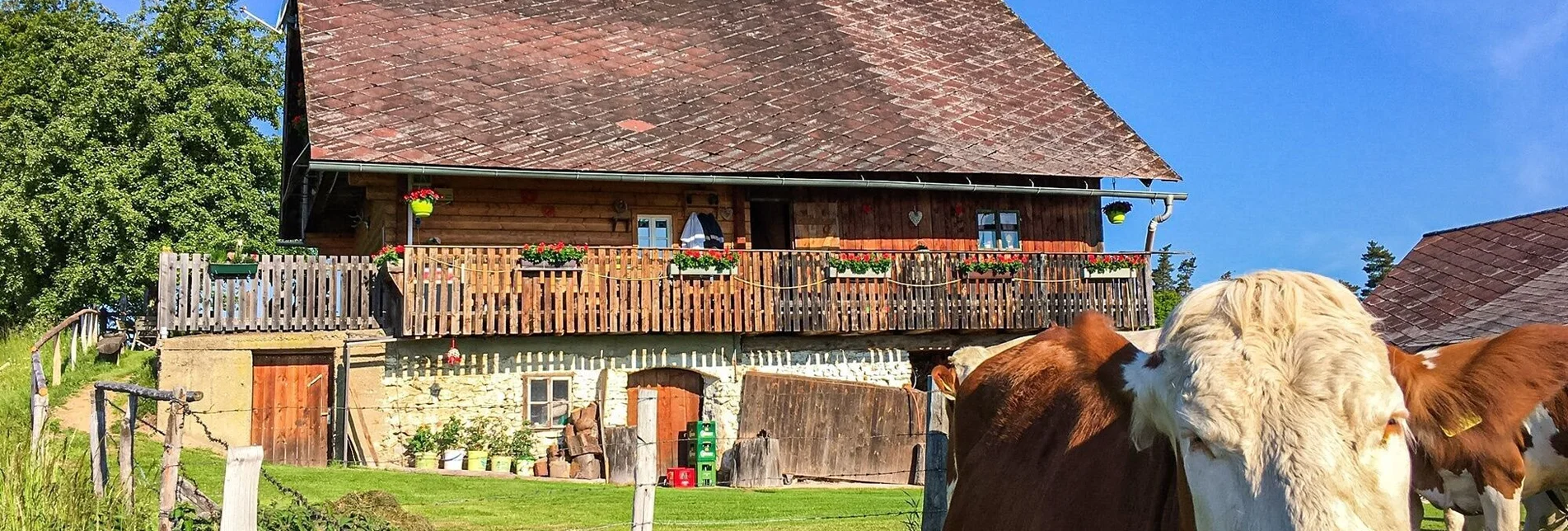 Mountain Biking Remschniggalm - wine, alpine pasture and more. - Touren-Impression #1 | © Südsteiermark