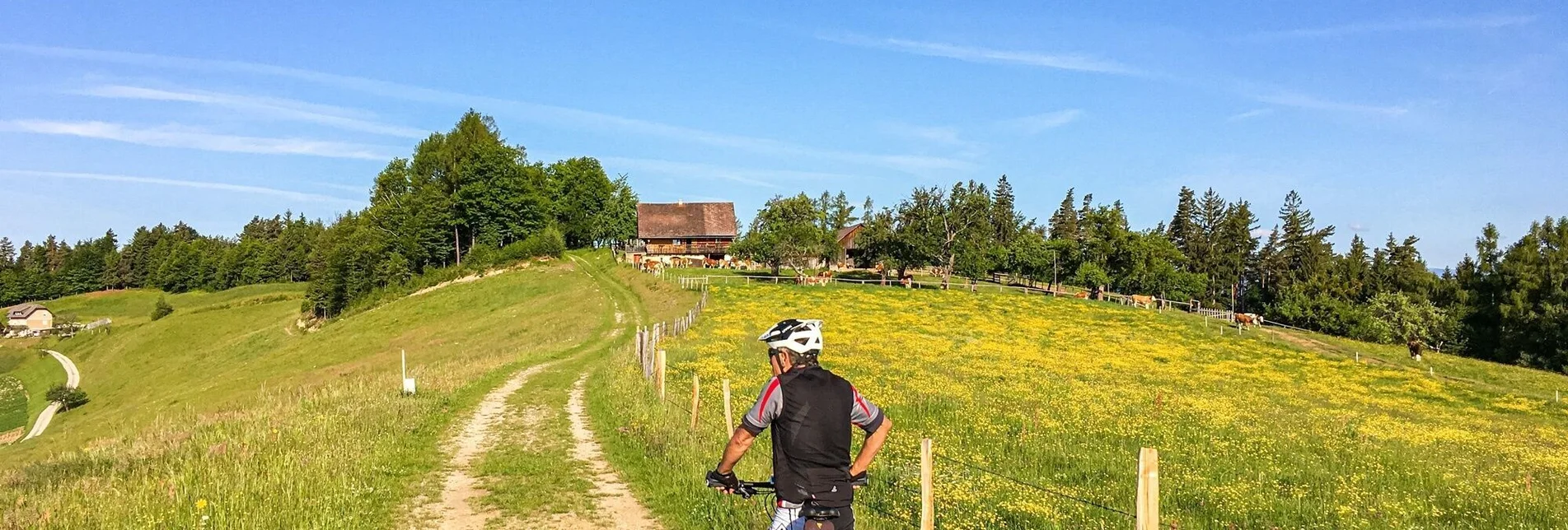 Mountain Biking Remschniggalm - wine, alpine pasture and more. - Touren-Impression #1 | © Südsteiermark