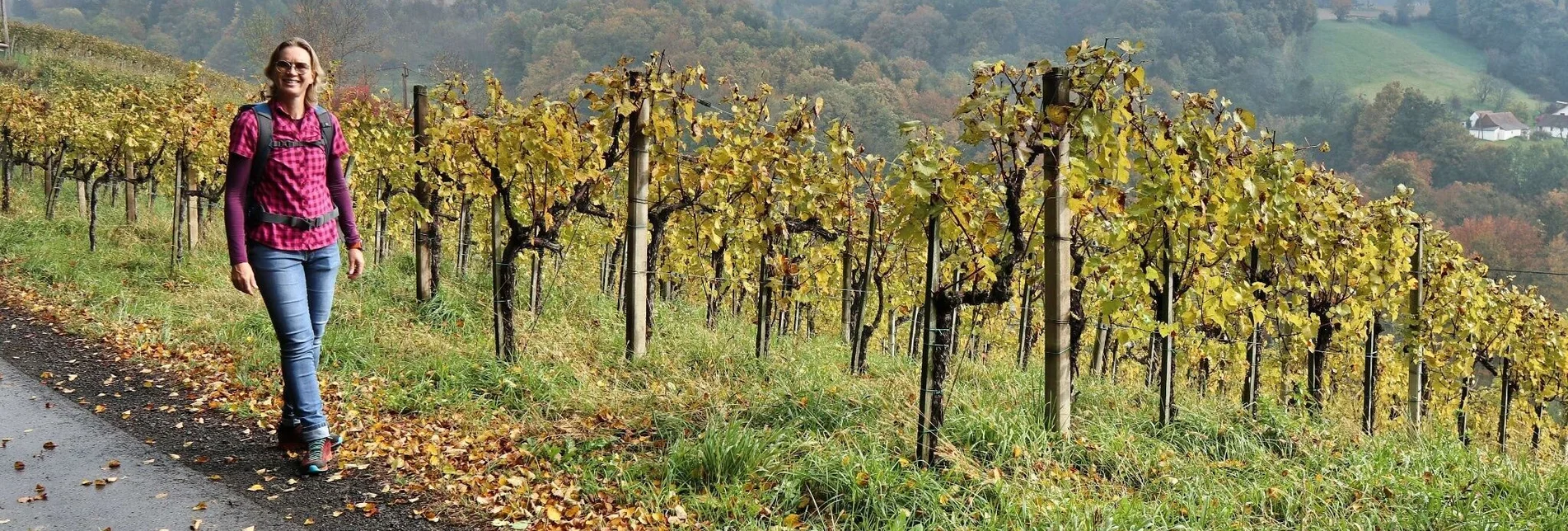 Hiking route Wine & Tower Trail (Wein- & Turmweg) - Touren-Impression #1 | © Weges OG