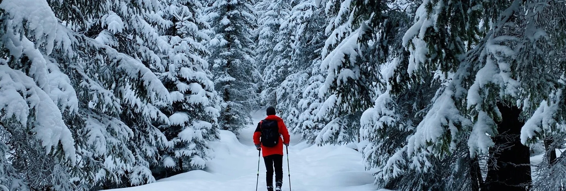 Schneeschuh Schneeschuhwanderung im Schönmoos - Touren-Impression #1 | © Erlebnisregion Schladming-Dachstein