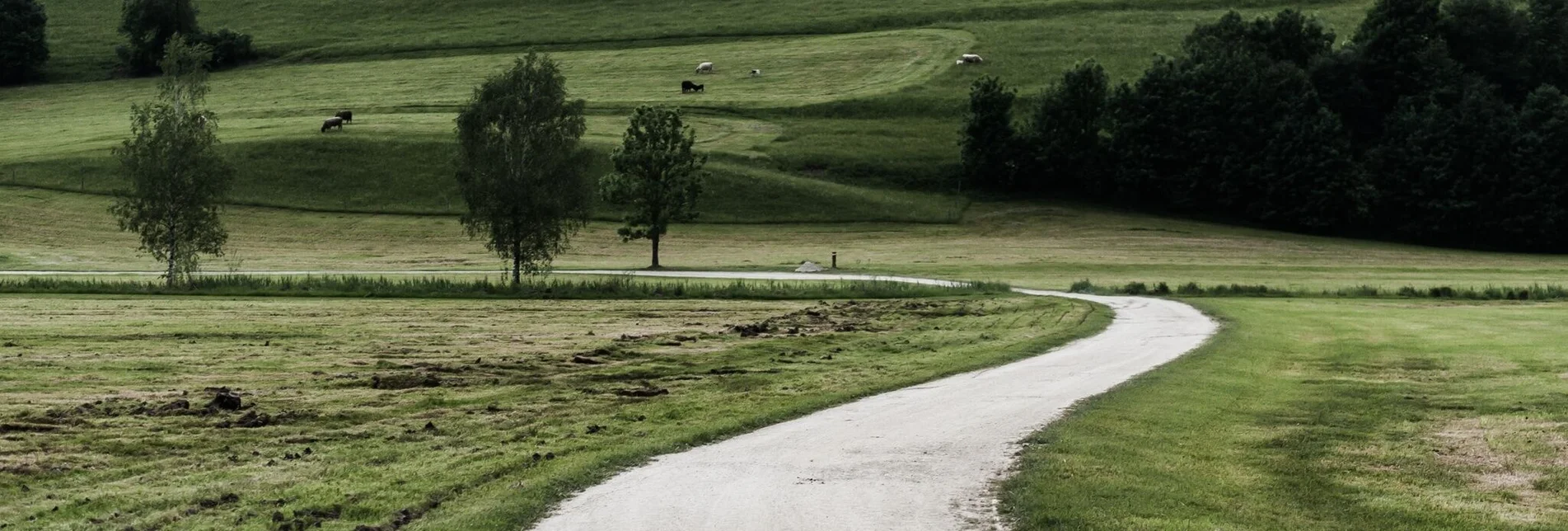 Wanderung Kulmrundweg - Touren-Impression #1 | © Erlebnisregion Schladming-Dachstein