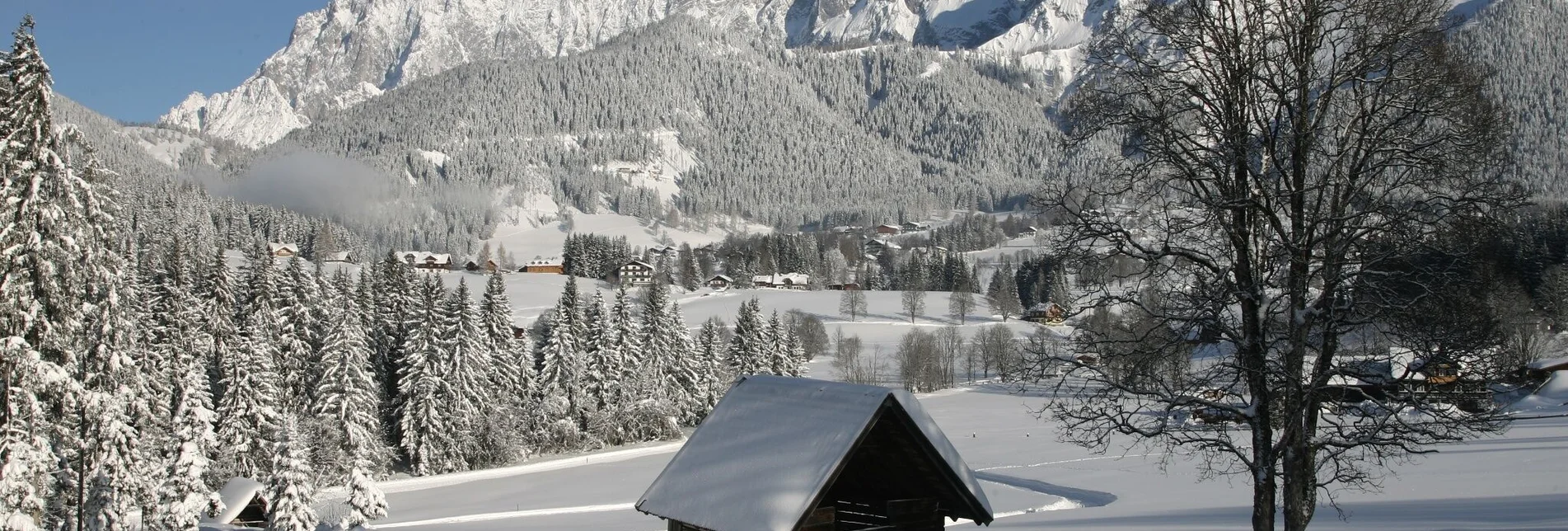 Winterwandern Kulmbergrunde Winterwanderweg - Touren-Impression #1 | © Erlebnisregion Schladming-Dachstein