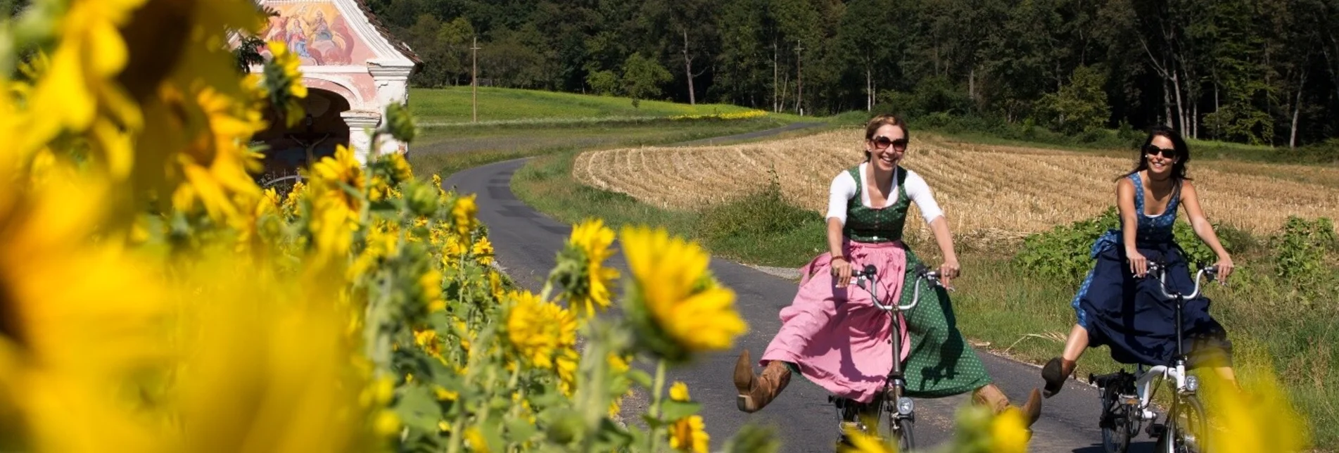 Bike Riding Discovery Tour 7 - Vorau / Rohrbach an der Lafnitz / Hartberg / Pöllau / Vorau - Touren-Impression #1 | © Oststeiermark Tourismus