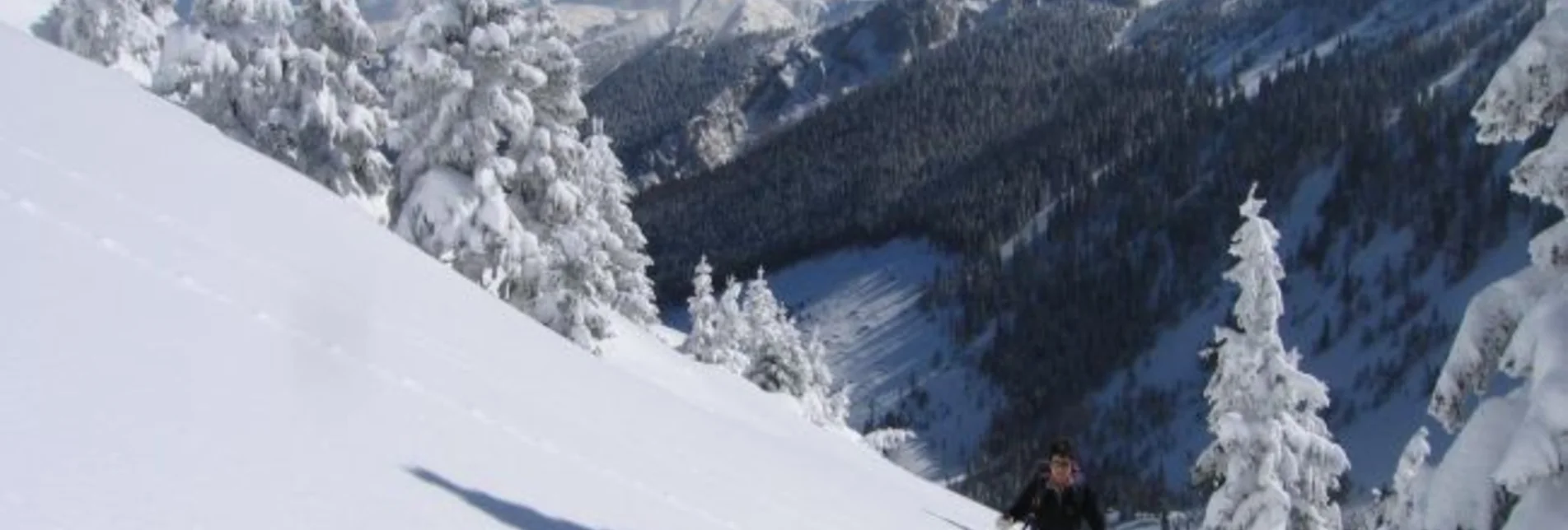 Snowshoe walking Schneeschuhwanderparadies Hinteralm - Touren-Impression #1 | © Naturpark Mürzer Oberland