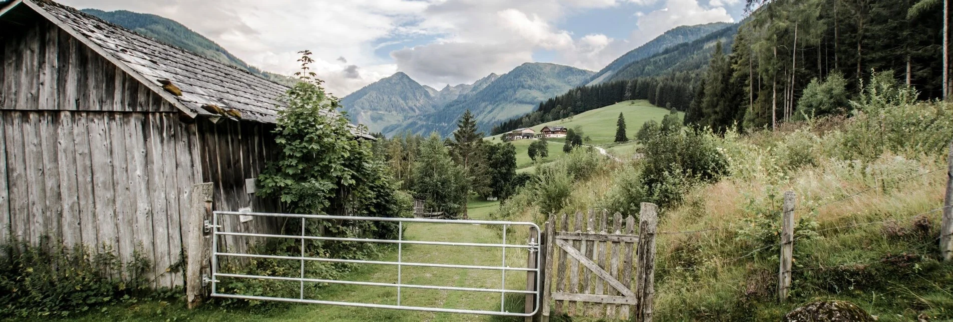 Trail Running Rohrmoos Run - Touren-Impression #1 | © Tourismusverband Schladming