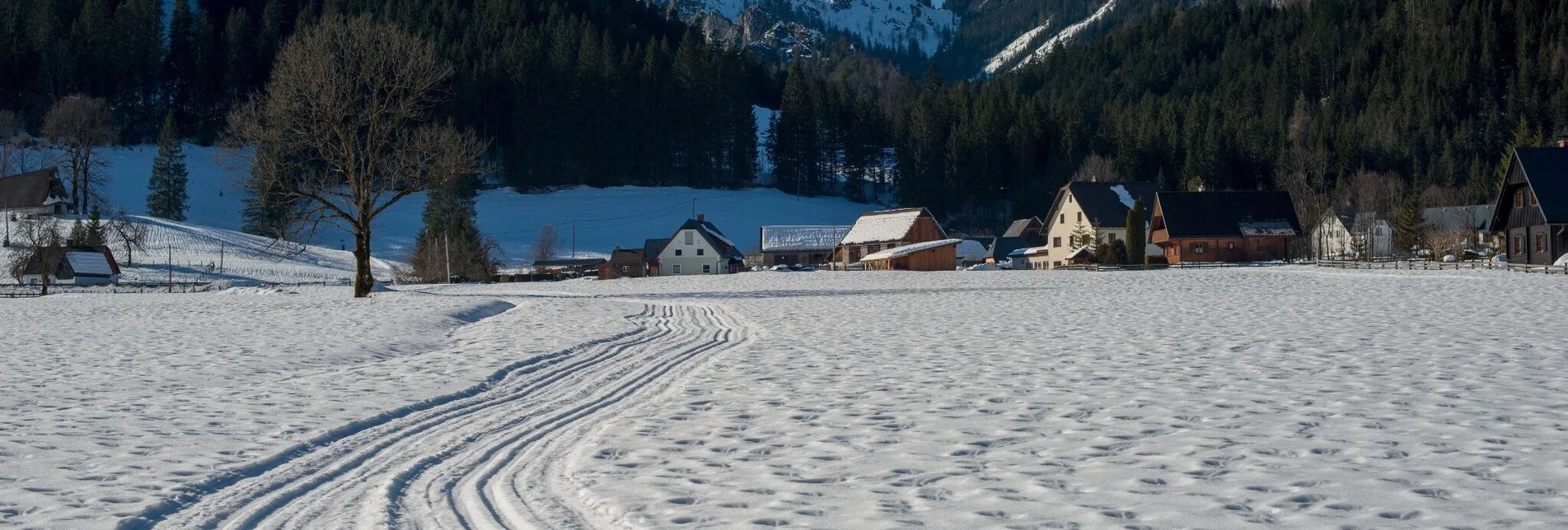 Ski-nordic-classic Loipe Hinterwildalpen - Touren-Impression #1 | © TV Gesäuse