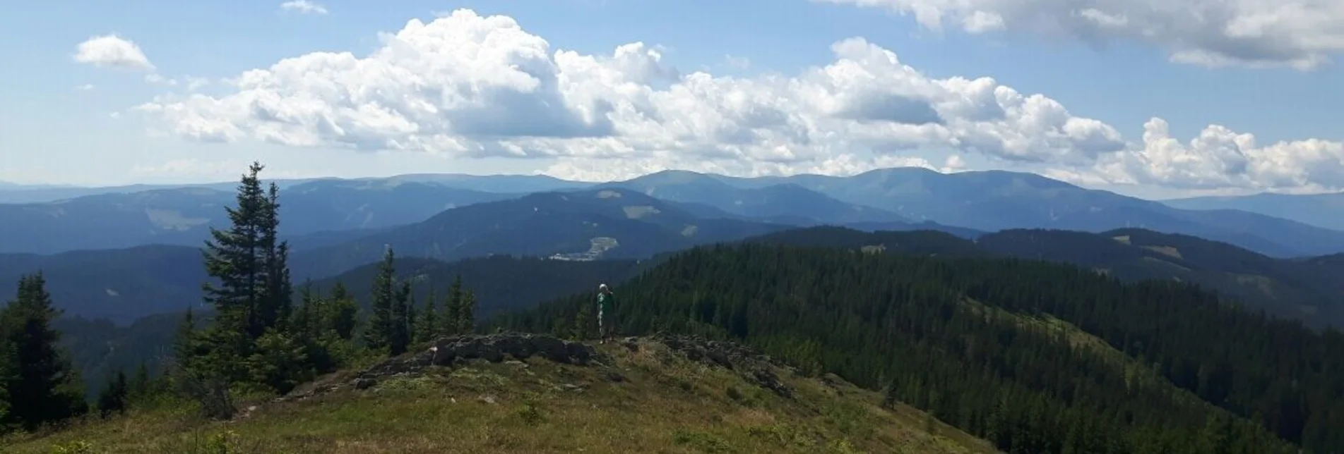 Wanderung Rundwanderung auf der Terenbachalm - Touren-Impression #1 | © Community