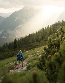 Abstieg nach Gstatterboden | © TV Gesäuse | Tourismusverband Gesäuse | © TV Gesäuse