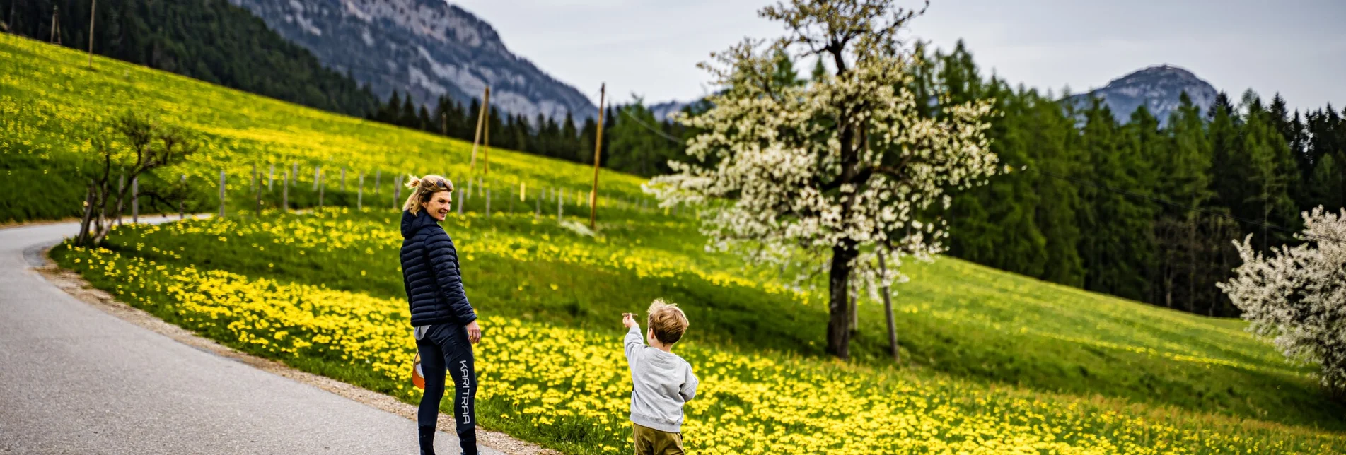 Hiking route Birnberg circular walking path - Touren-Impression #1 | © Gerhard Pilz