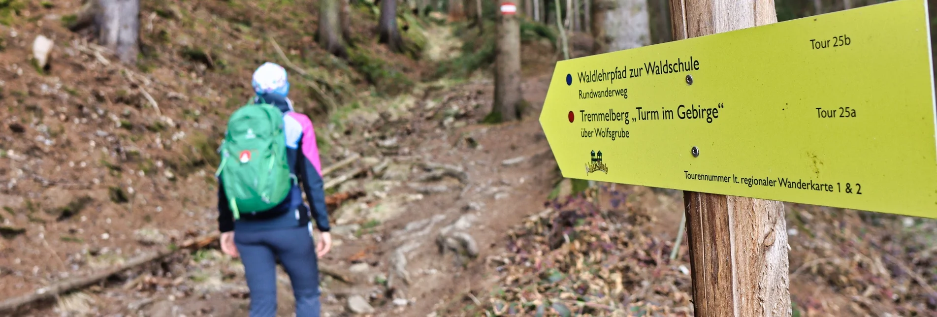 Hiking route Tremmelberg "Tower in the mountains" via Wolfsgrube - Touren-Impression #1 | © Weges OG