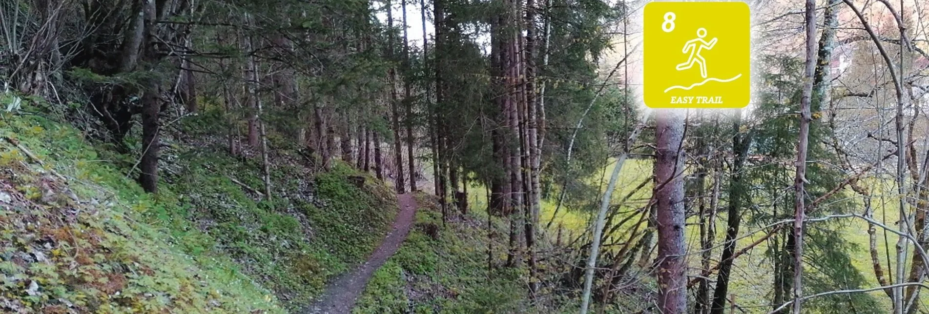 Trailrunning Fischersteig Trail - Touren-Impression #1 | © Erlebnisregion Schladming-Dachstein