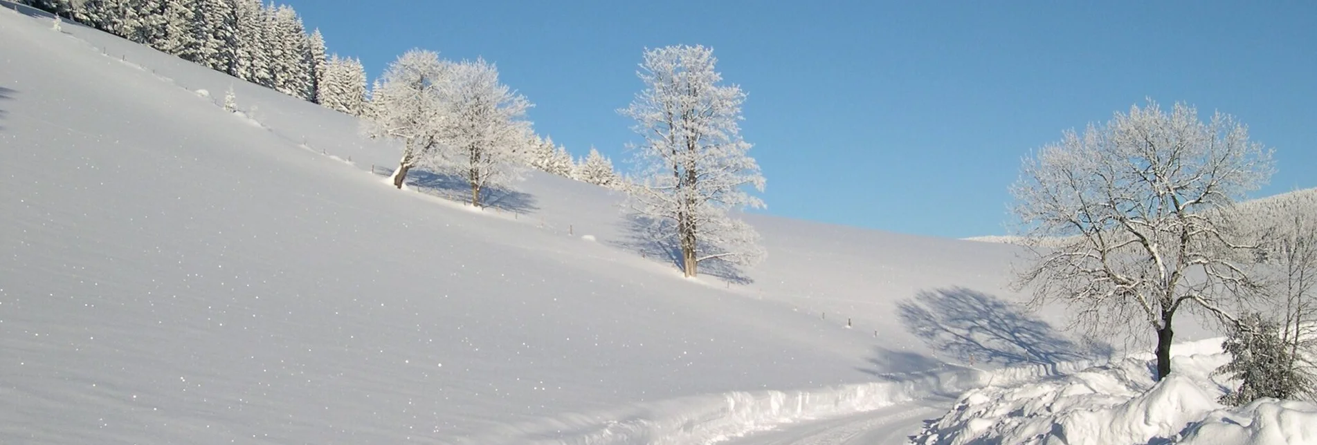 Winter Hiking Winter hiking trail from Feistritztal to Falkenstein, Fischbach - Touren-Impression #1 | © Oststeiermark Tourismus