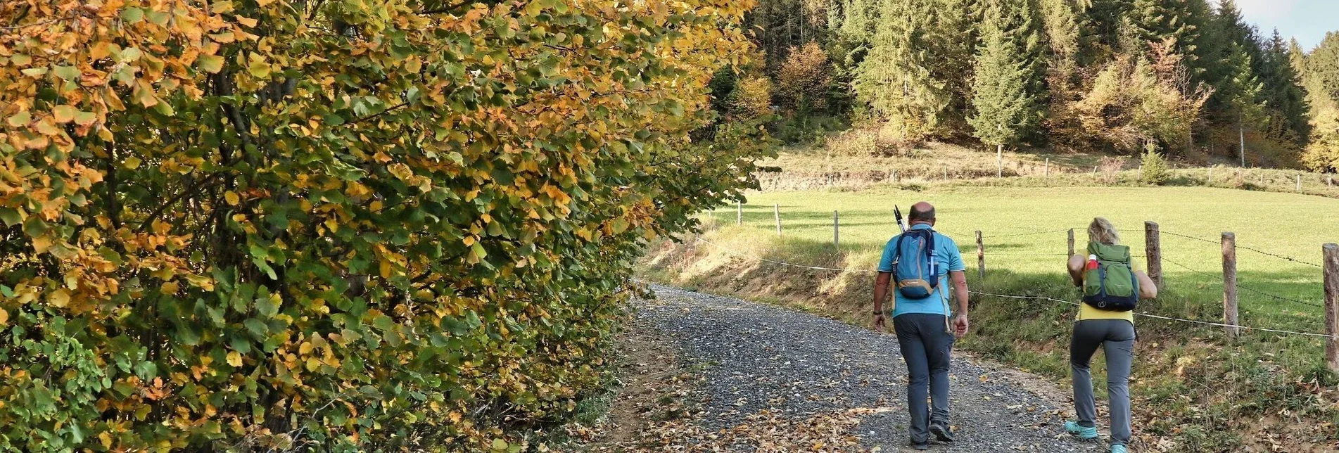 Wanderung Rauchstubenweg St. Georgen ob Judenburg - Touren-Impression #1 | © Weges OG