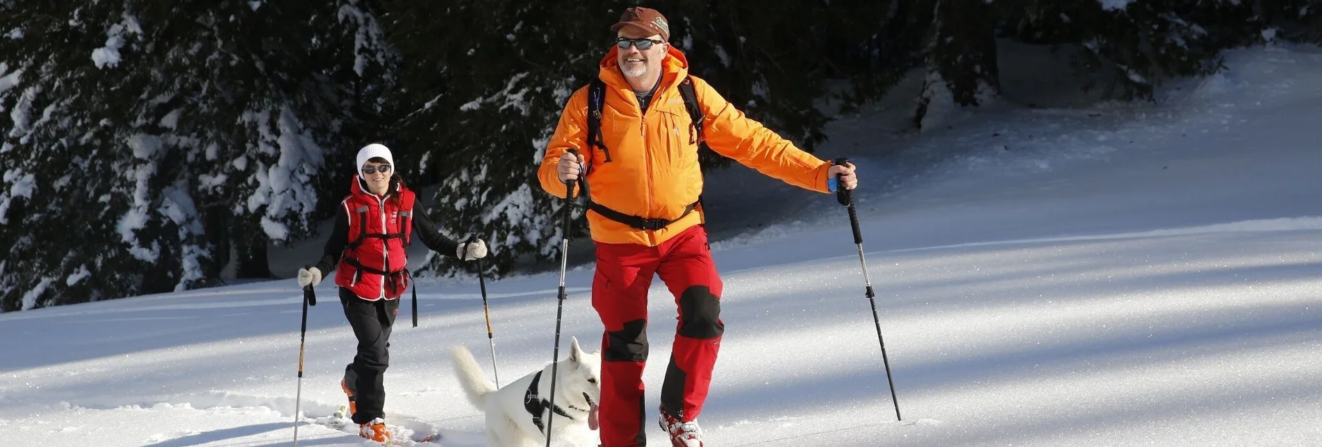 Skitour Krugkoppe, Einsteigertour mit herrlicher Kulisse! - Touren-Impression #1 | © Erlebnisregion Murtal