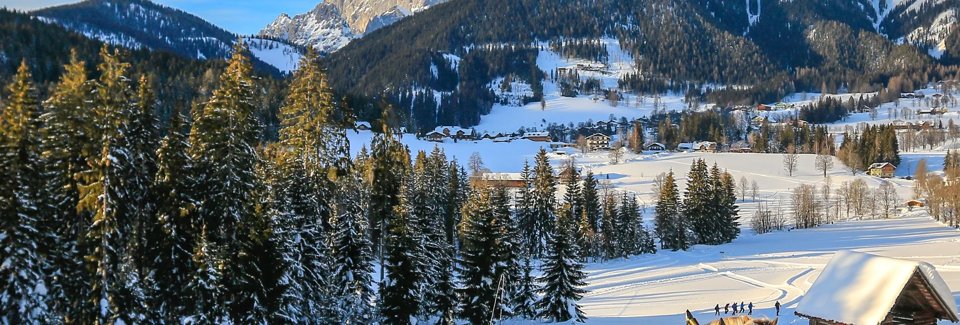 Horse Carriage Ride Sleigh ride Oberhorner-Vorberg - Touren-Impression #1 | © TVB Schladming