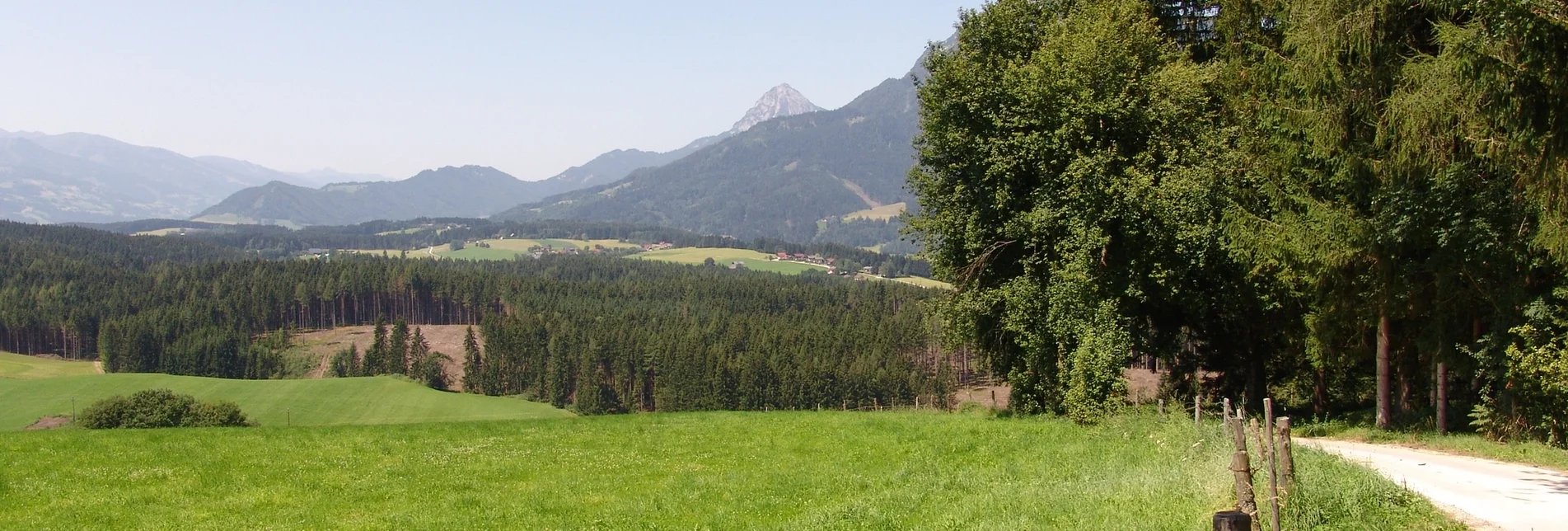 Nordic Walking Bewegungsarena - Gersdorferrunde (M2) - Touren-Impression #1 | © Erlebnisregion Schladming-Dachstein