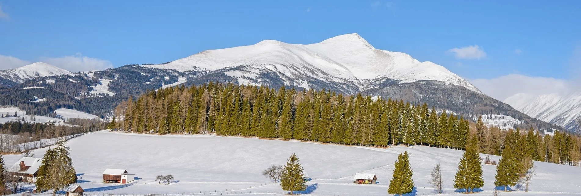 Snowshoe walking Greim - Touren-Impression #1 | © Tourismusverband Murau