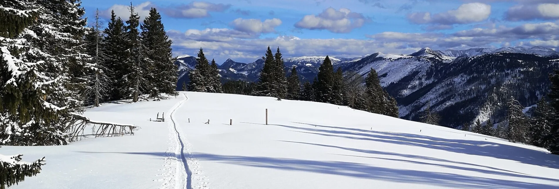 Ski Touring Skitour auf die Wildalpe - Touren-Impression #1 | © TV Hochsteiermark