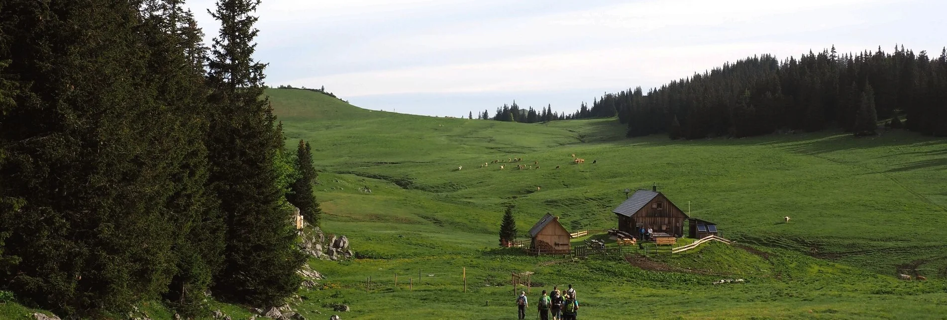 Wanderung Über die Wetterin auf die Tonion im Naturpark Mürzer Oberland - Touren-Impression #1 | © TV Hochsteiermark