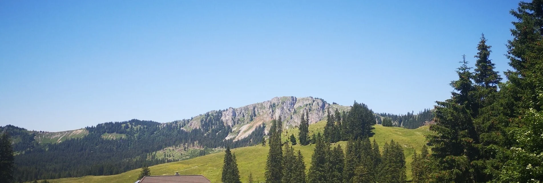 Wanderung Auf Bodenalm, Waxenegg und Donnerwand im Naturpark Mürzer Oberland - Touren-Impression #1 | © TV Hochsteiermark