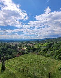 Weinbergwarte_Aussicht.jpg | © TVB Südsteiermark/Irene Löschnig | Irene Löschnig | © TVB Südsteiermark/Irene Löschnig