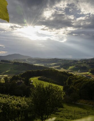 Blick ins Weinland bei Fehring | bigshot.at | © Steiermark Tourismus/bigshot.at
