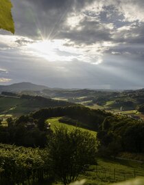 Blick ins Weinland bei Fehring | © Steiermark Tourismus/bigshot.at | bigshot.at | © Steiermark Tourismus/bigshot.at