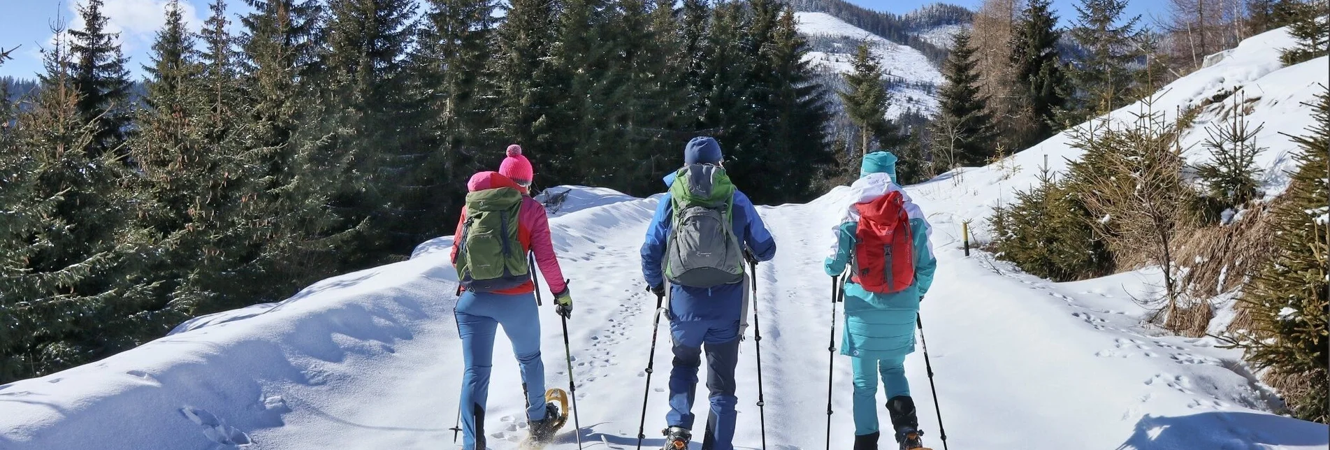 Schneeschuh Schneeschuhwanderung zum Bocksruck - Touren-Impression #1 | © Weges OG