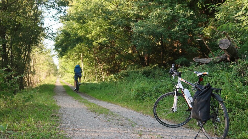 Cycling Hill Country Tour 733 - Touren-Impression #2.3 | © Region Graz
